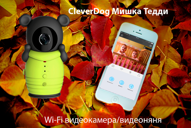Видеоняня /WiFi видеокамера CleverDog Мишка Тедди с DVR (комплект) Артикул: CleverDog TeddiBear